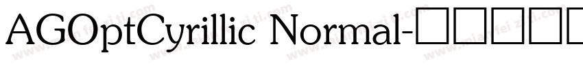 AGOptCyrillic Normal字体转换